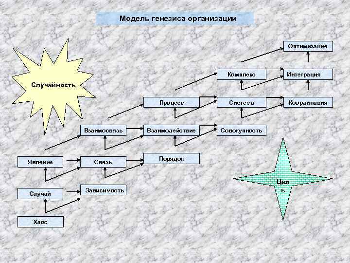 Модель генезиса организации Оптимизация Комплекс Интеграция Процесс Система Координация Взаимодействие Совокупность Случайность Взаимосвязь Явление