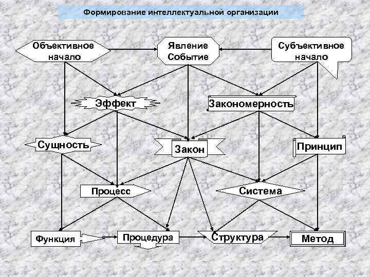 Формирование интеллектуальной организации Объективное начало Явление Событие Эффект Сущность Закономерность Принцип Закон Процесс Функция