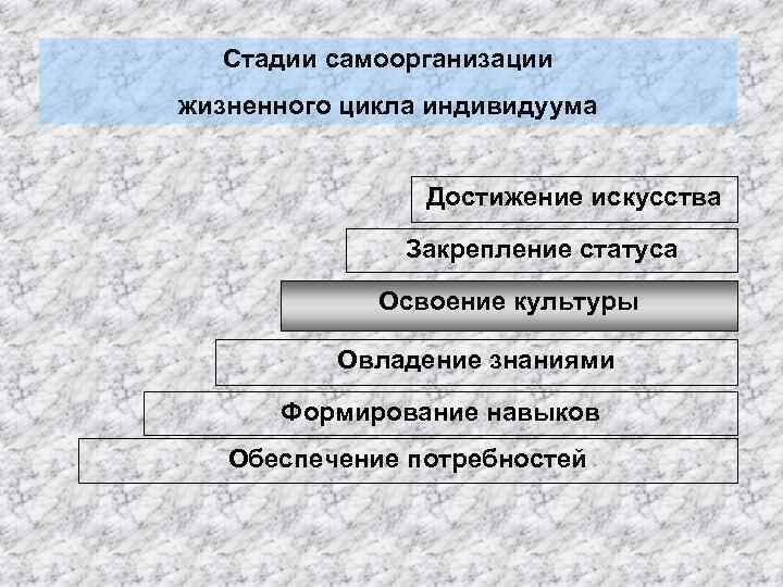 Стадии самоорганизации жизненного цикла индивидуума Достижение искусства Закрепление статуса Освоение культуры Овладение знаниями Формирование