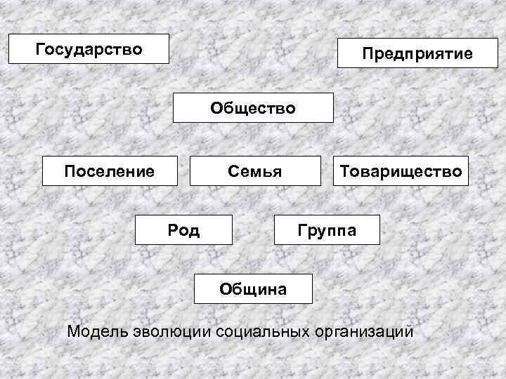 Государство Предприятие Общество Поселение Семья Род Товарищество Группа Община Модель эволюции социальных организаций 