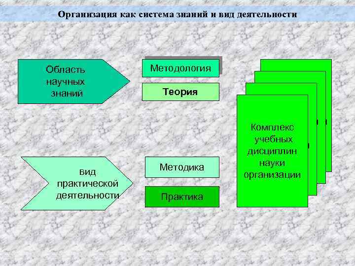 Организация как система знаний и вид деятельности Область научных знаний Вид практической деятельности Методология