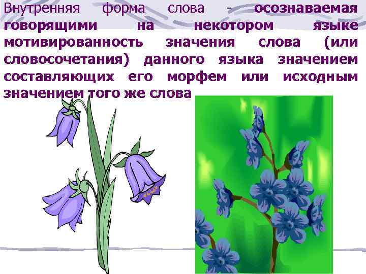 Внутренняя форма слова осознаваемая говорящими на некотором языке мотивированность значения слова (или словосочетания) данного