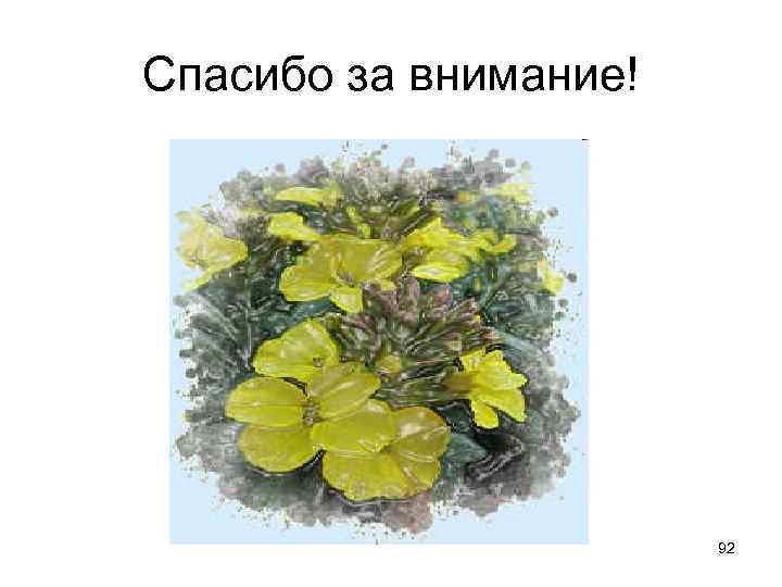 Спасибо за внимание! 92 