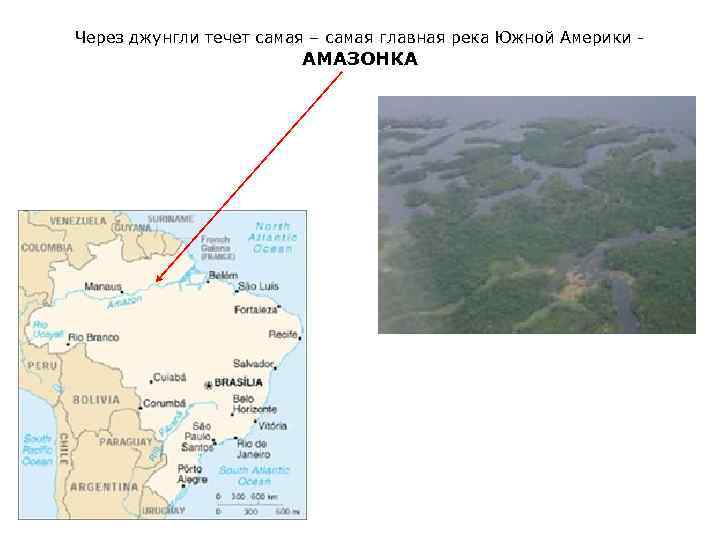 Через джунгли течет самая – самая главная река Южной Америки - АМАЗОНКА 