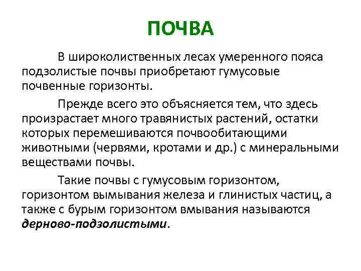 Умеренные почвы. Почва в лесах умеренного пояса. Почвы смешанных лесов (умеренного пояса). Леса умеренного пояса климат почва растения животные. Почвы лесных зон умеренного пояса.