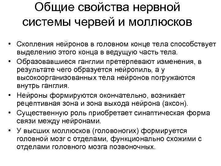 Общие свойства нервной системы червей и моллюсков • Скопления нейронов в головном конце тела