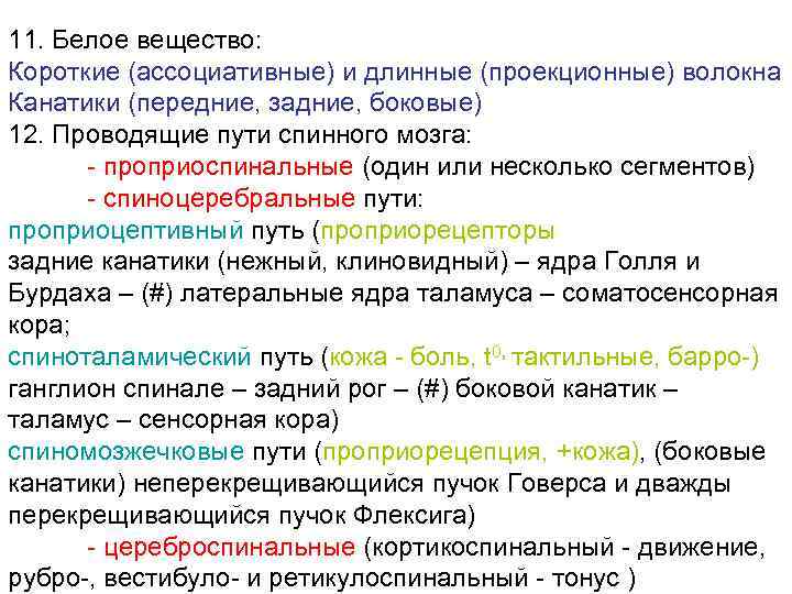 11. Белое вещество: Короткие (ассоциативные) и длинные (проекционные) волокна Канатики (передние, задние, боковые) 12.