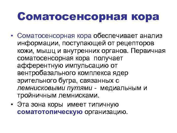 Соматосенсорная кора • Соматосенсорная кора обеспечивает анализ информации, поступающей от рецепторов кожи, мышц и