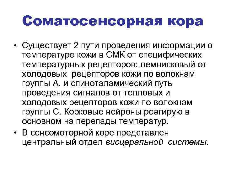 Соматосенсорная кора • Существует 2 пути проведения информации о температуре кожи в СМК от