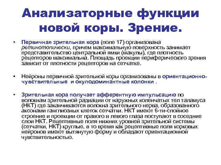 Анализаторные функции новой коры. Зрение. • Первичная зрительная кора (поле 17) организована ретинотопически, причем