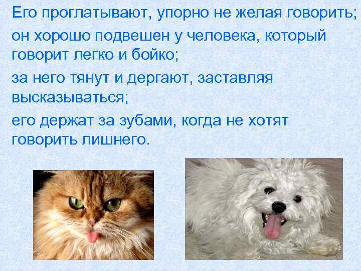 Его проглатывают, упорно не желая говорить; он хорошо подвешен у человека, который говорит легко