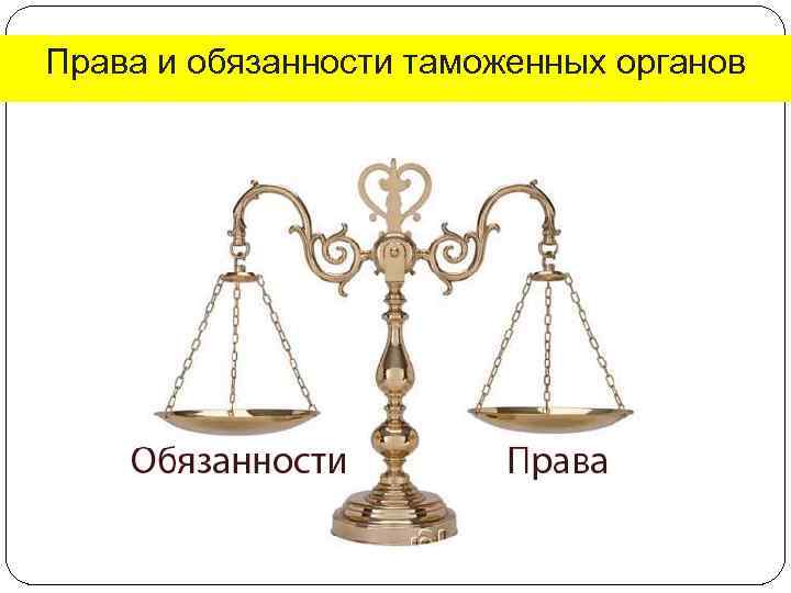 Права и обязанности таможенных органов 