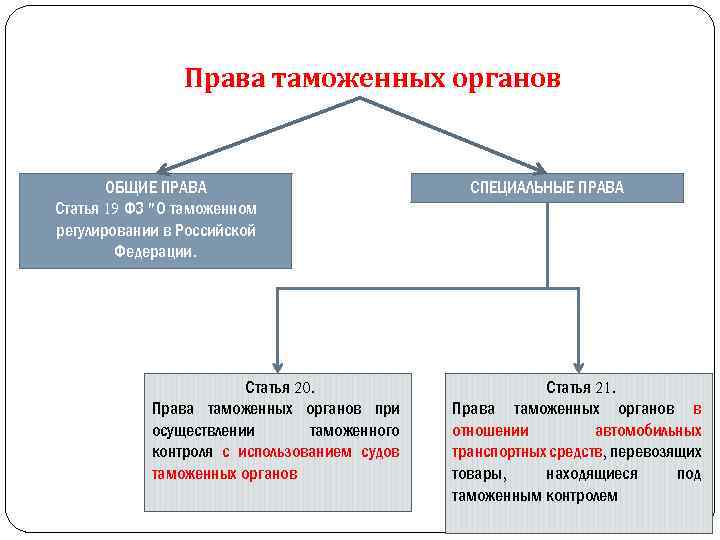 Система таможенных органов