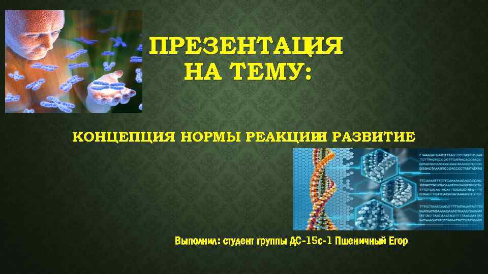 ПРЕЗЕНТАЦ Я И НА ТЕМУ: КОНЦЕПЦИЯ НОРМЫ РЕАКЦИИ РАЗВИТИЕ И Выполнил: студент группы ДС-15