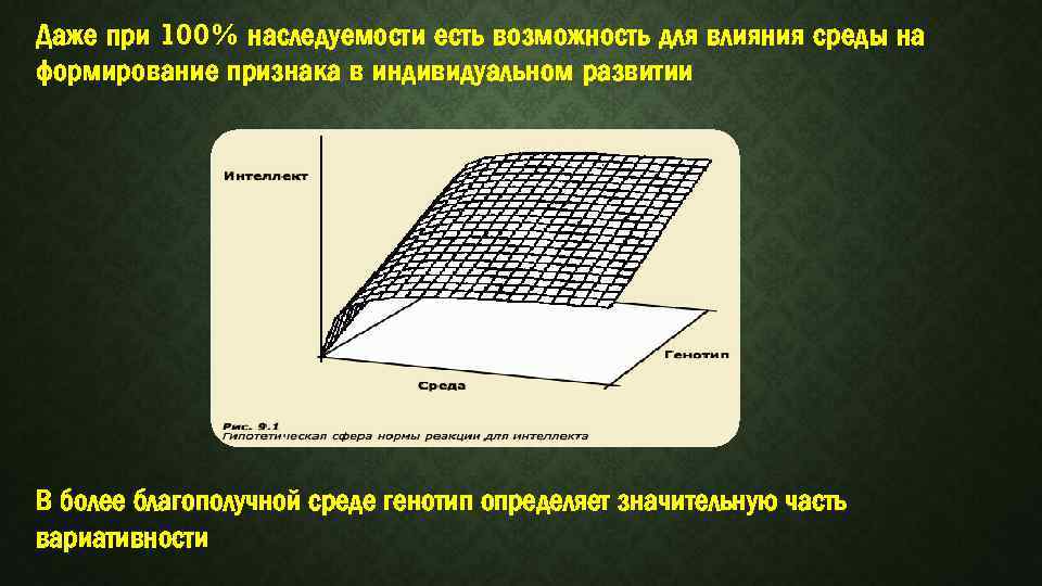 Даже при 100% наследуемости есть возможность для влияния среды на формирование признака в индивидуальном