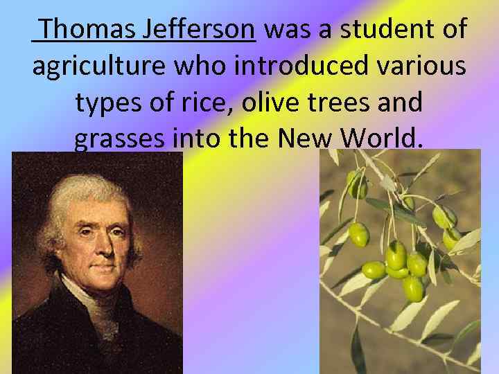 Thomas Jefferson was a student of agriculture who introduced various types of rice, olive