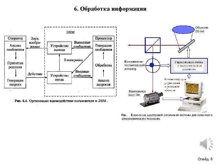 6. Обработка информации Слайд 6 