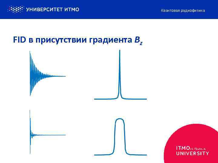 Квантовая радиофизика FID в присутствии градиента Bz 