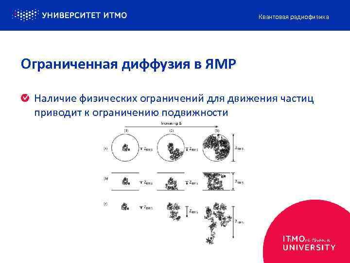 Квантовая радиофизика Ограниченная диффузия в ЯМР Наличие физических ограничений для движения частиц приводит к