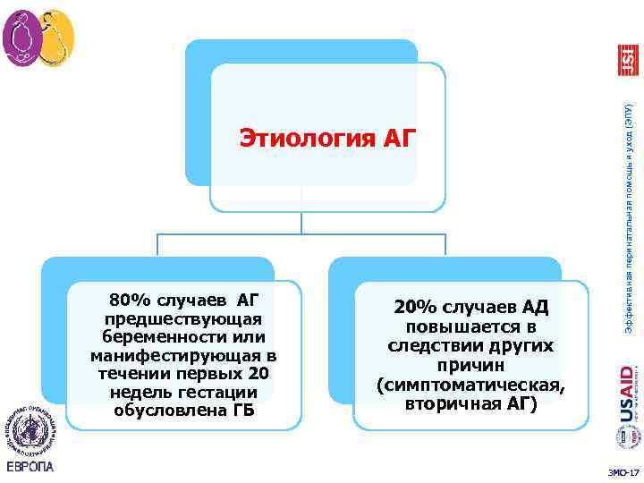 80% случаев АГ предшествующая беременности или манифестирующая в течении первых 20 недель гестации обусловлена