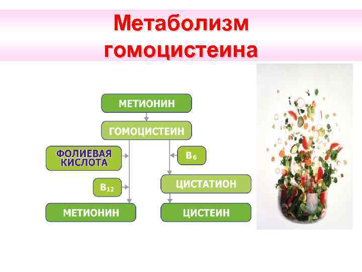Метаболизм гомоцистеина 