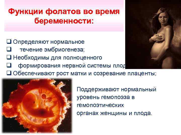 Функции фолатов во время беременности: q Определяют нормальное q течение эмбриогенеза; q Необходимы для