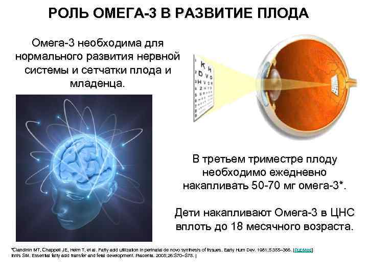 РОЛЬ ОМЕГА-3 В РАЗВИТИЕ ПЛОДА Омега-3 необходима для нормального развития нервной системы и сетчатки