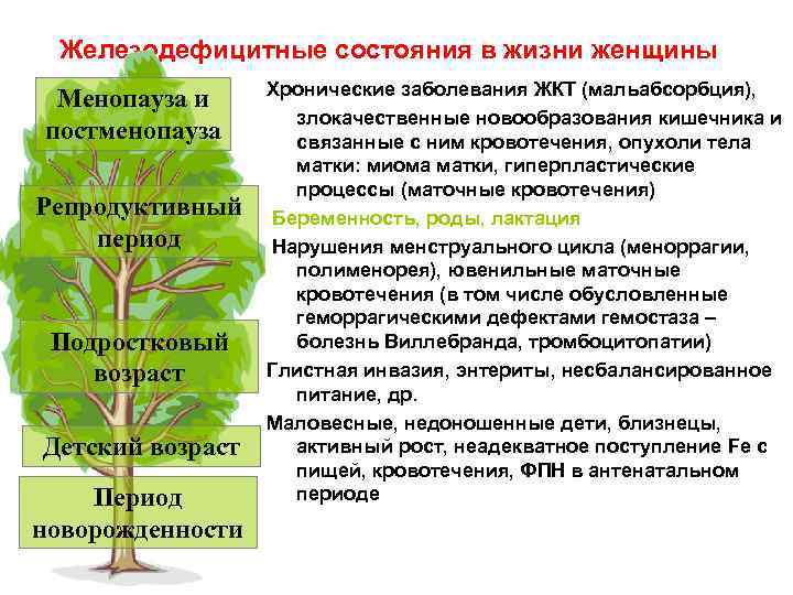 Железодефицитные состояния в жизни женщины Менопауза и постменопауза Репродуктивный период Подростковый возраст Детский возраст