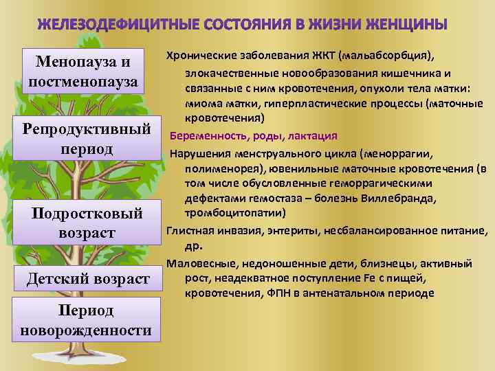 Менопауза и постменопауза Репродуктивный период Подростковый возраст Детский возраст Период новорожденности Хронические заболевания ЖКТ