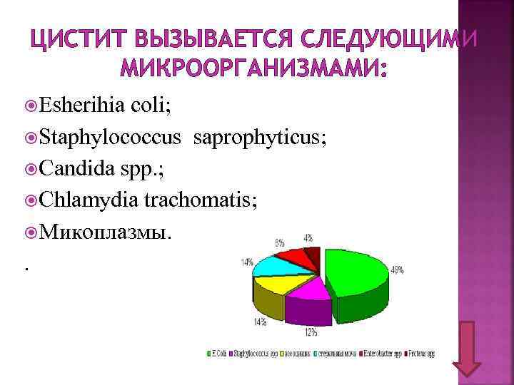 ЦИСТИТ ВЫЗЫВАЕТСЯ СЛЕДУЮЩИМИ МИКРООРГАНИЗМАМИ: Esherihia coli; Staphylococcus saprophyticus; Candida spp. ; Chlamydia trachomatis; Микоплазмы.