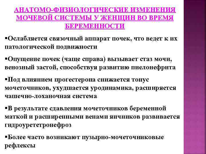 АНАТОМО-ФИЗИОЛОГИЧЕСКИЕ ИЗМЕНЕНИЯ МОЧЕВОЙ СИСТЕМЫ У ЖЕНЩИН ВО ВРЕМЯ БЕРЕМЕННОСТИ §Ослабляется связочный аппарат почек, что