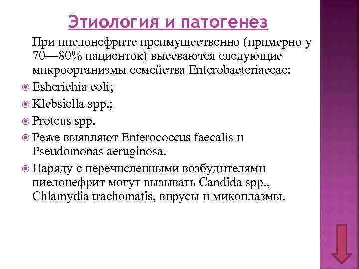 Этиология и патогенез При пиелонефрите преимущественно (примерно у 70— 80% пациенток) высеваются следующие микроорганизмы