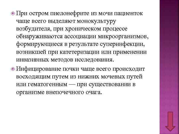  При остром пиелонефрите из мочи пациенток чаще всего выделяют монокультуру возбудителя, при хроническом