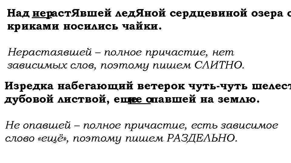 Над нераст. Явшей лед. Яной сердцевиной озера с криками носились чайки. Нерастаявшей – полное