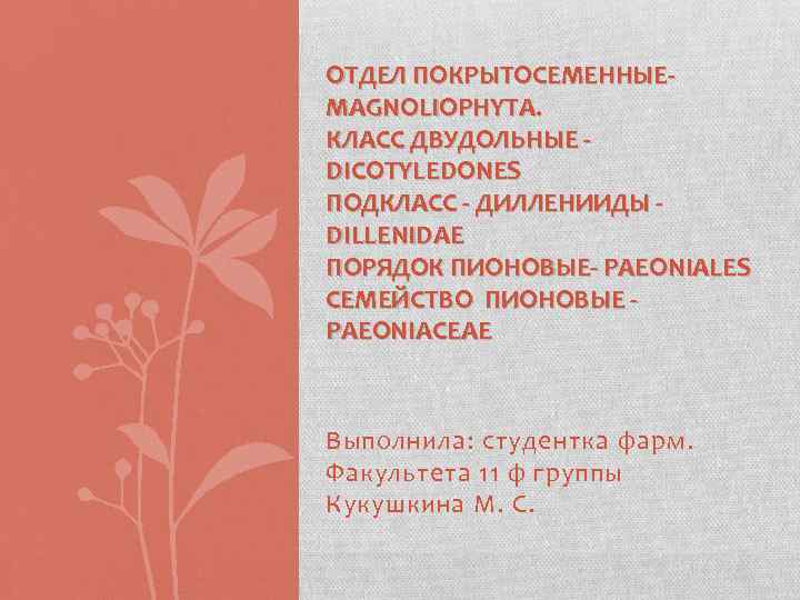 ОТДЕЛ ПОКРЫТОСЕМЕННЫЕMAGNOLIOPHYTA. КЛАСС ДВУДОЛЬНЫЕ DICOTYLEDONES ПОДКЛАСС - ДИЛЛЕНИИДЫ DILLENIDAE ПОРЯДОК ПИОНОВЫЕ- PAEONIALES СЕМЕЙСТВО ПИОНОВЫЕ