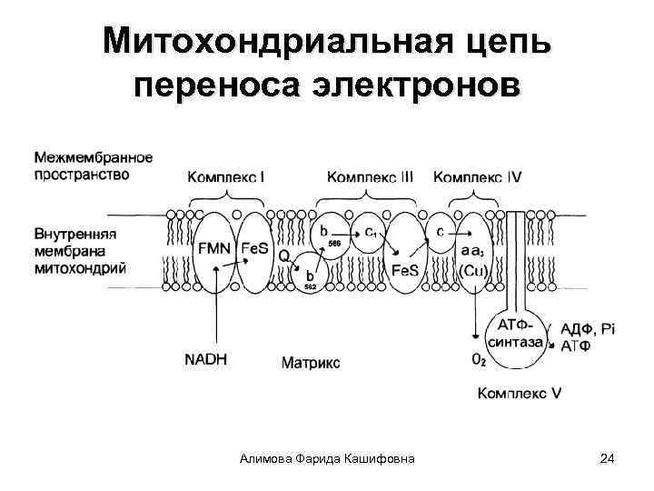 Электрон схема