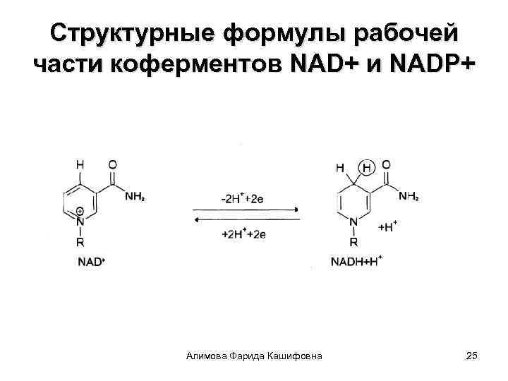 Коа кофермент. Nad NADP коферменты. Кофермента НАДФ+ витамин. Коферменты таблица биохимия. Над+- кофермент витамина:.