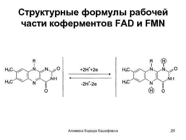 Структурные формулы рабочей части коферментов FAD и FMN Алимова Фарида Кашифовна 26 