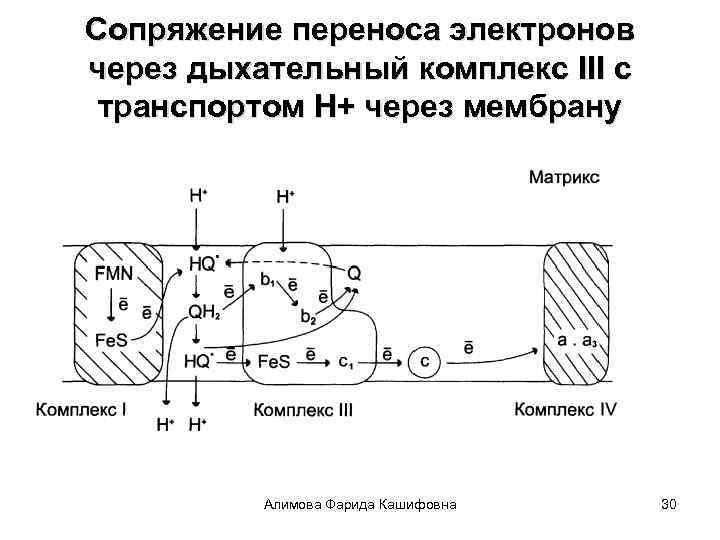 Электрон перенос