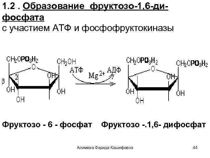 1. 2. Образование фруктозо-1, 6 -дифосфата с участием АТФ и фосфофруктокиназы Фруктозо - 6