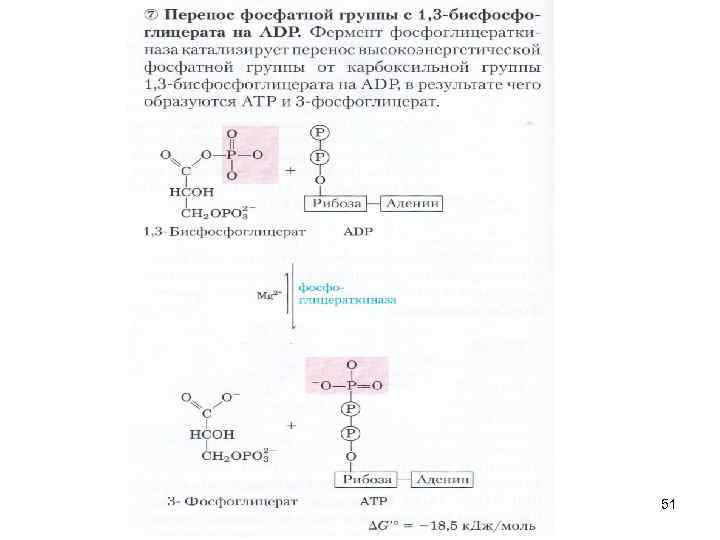 Алимова Фарида Кашифовна 51 