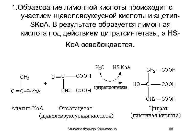 1. Образование лимонной кислоты происходит с участием щавелевоуксусной кислоты и ацетил. SKo. A. В