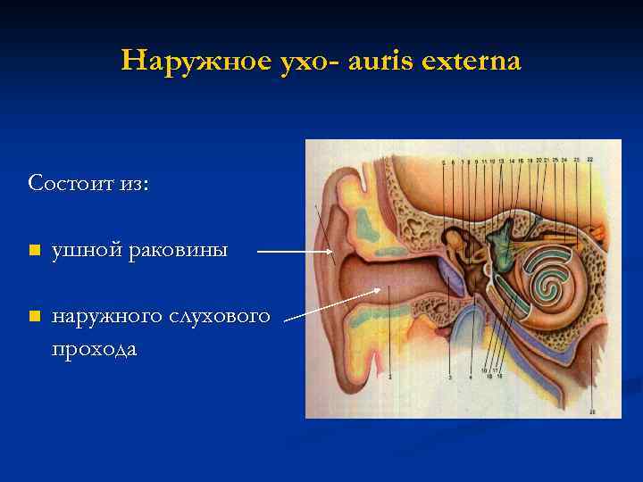 Фурункул наружного слухового прохода фото