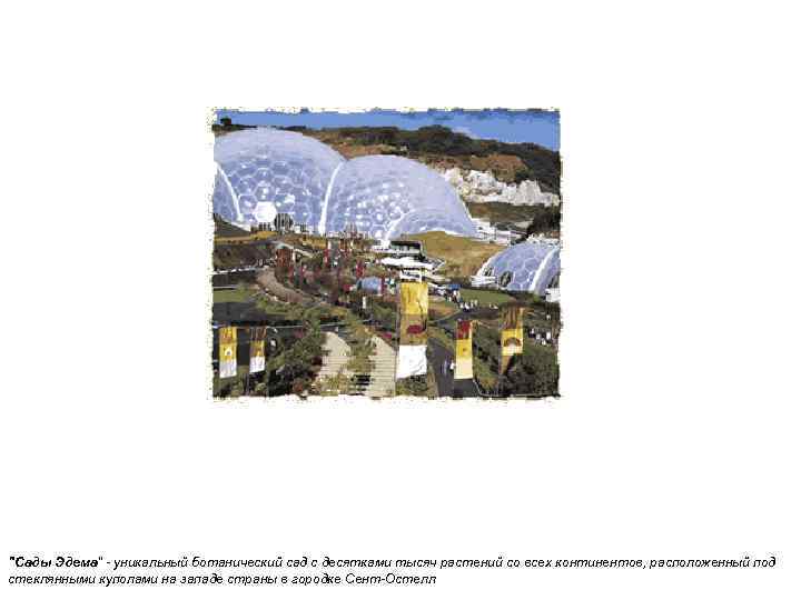  "Сады Эдема" - уникальный ботанический сад с десятками тысяч растений со всех континентов,