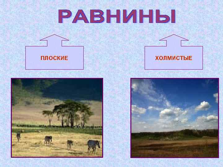 ПЛОСКИЕ ХОЛМИСТЫЕ 