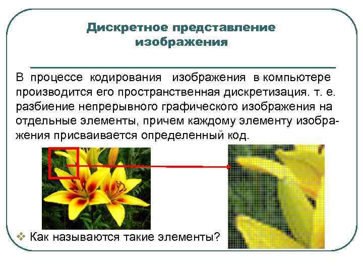 Дискретное представление изображения В процессе кодирования изображения в компьютере производится его пространственная дискретизация. т.