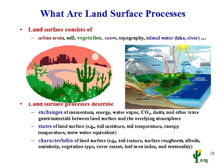 What Are Land Surface Processes • Land surface consists of – urban areas, soil,