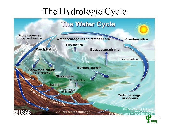 The Hydrologic Cycle 11 ang 