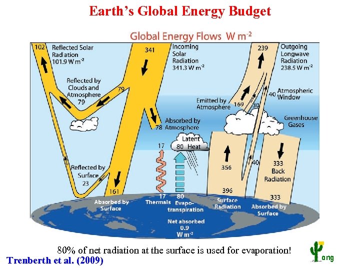 Earth’s Global Energy Budget 80% of net radiation at the surface is used for