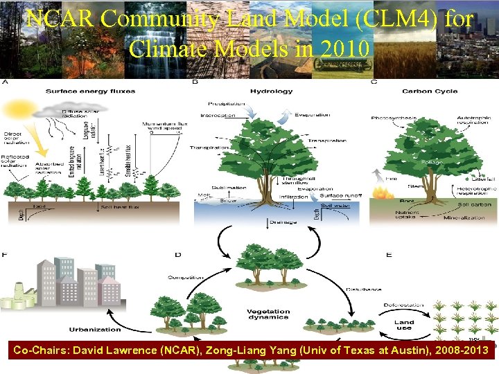 NCAR Community Land Model (CLM 4) for Climate Models in 2010 15 Co-Chairs: David